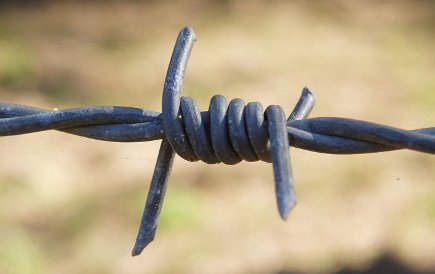 Колючая проволока для ограждения участка: разновидности и особенности производства